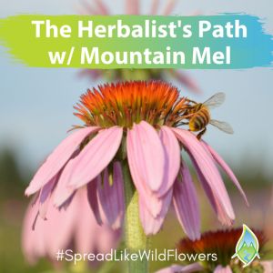 The Herbalist's Path