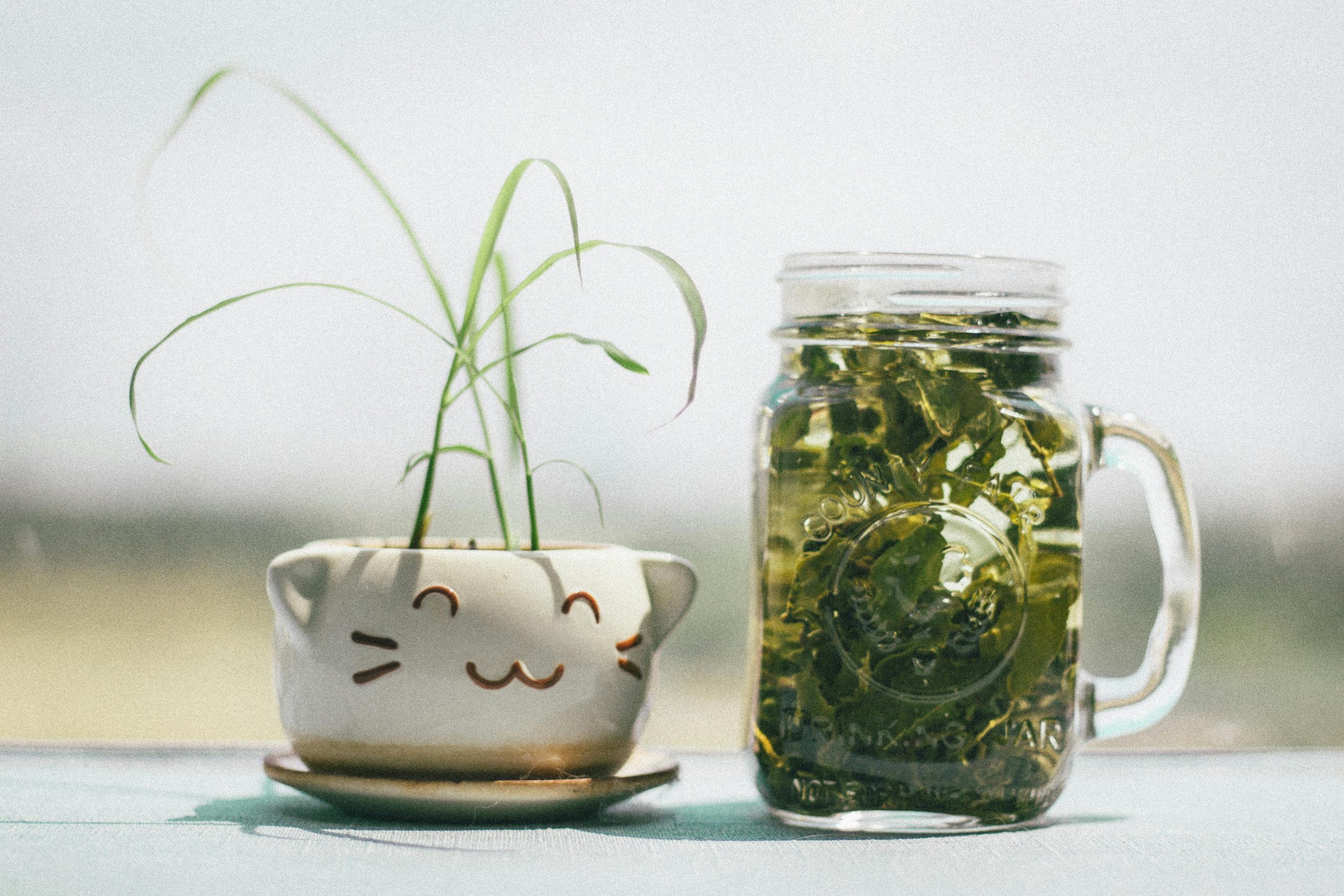 Explore the many benefits of Kratom with Canada Kratom Express.