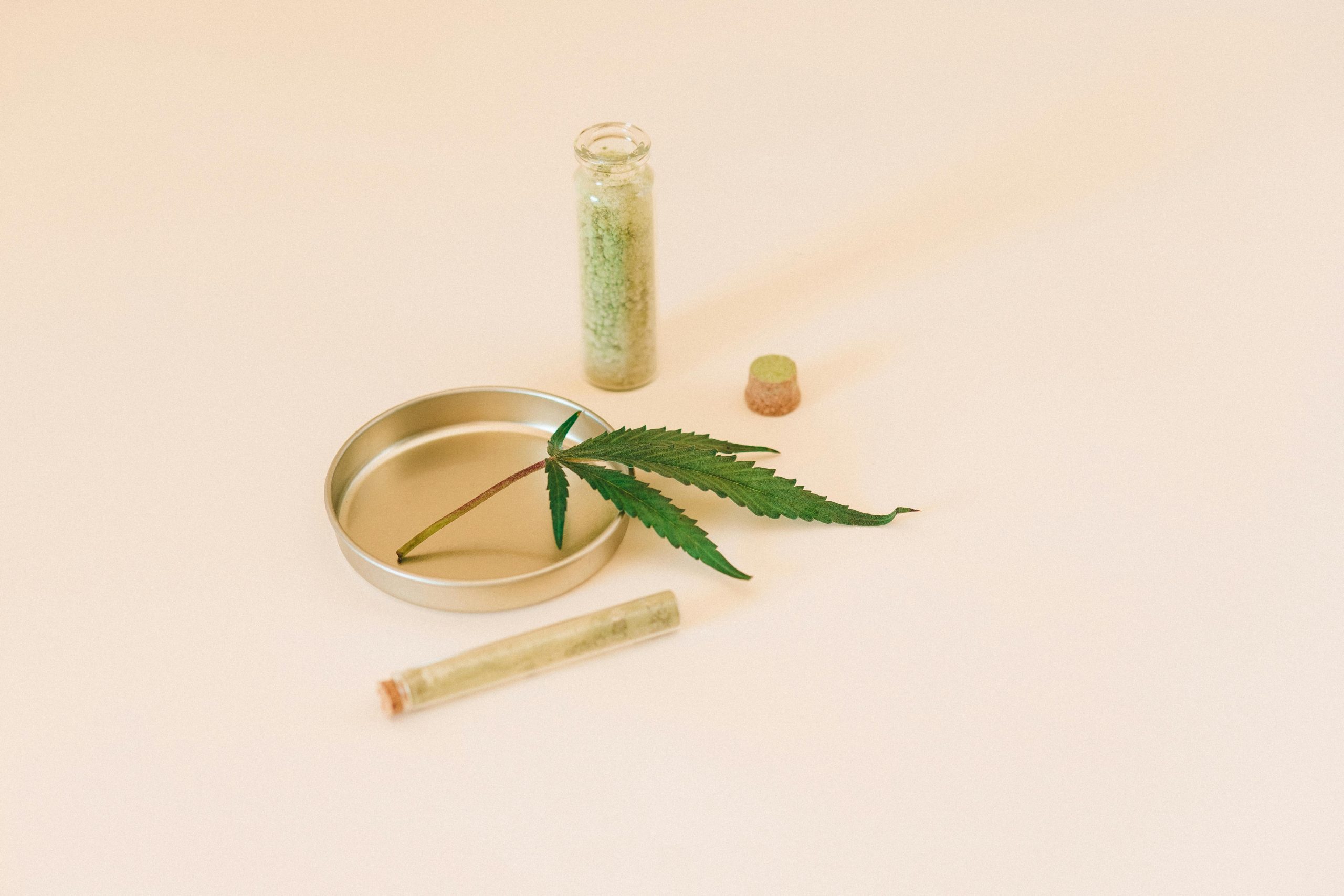 Fresh green kratom leaves arranged on a natural surface, symbolizing plant-based wellness and traditional herbal use.