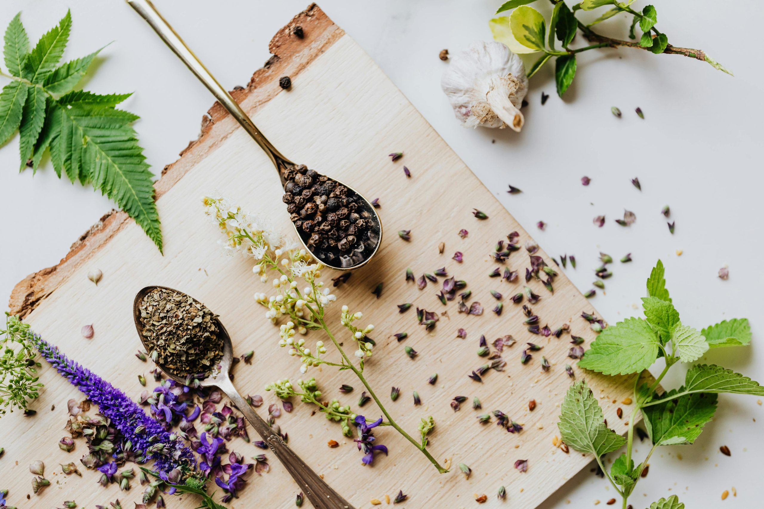 Plant-based wellness